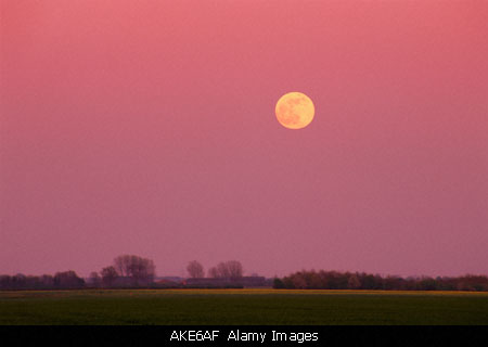 Lincolnshire Fens