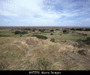 Lincolnshire marshland