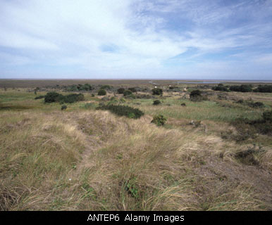 Lincolnshire Marshes